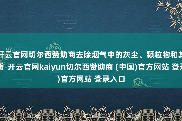开云官网切尔西赞助商去除烟气中的灰尘、颗粒物和其他杂质-开云官网kaiyun切尔西赞助商 (中国)官方网站 登录入口
